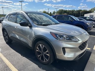Used 2022 Ford Escape SE w/ SE Sport Appearance Package image 1