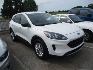Used 2022 Ford Escape SE w/ Convenience Package image 1