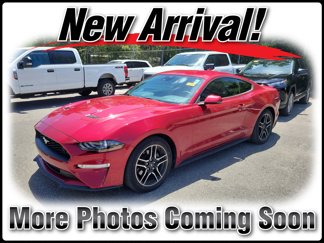 Used 2021 Ford Mustang Premium w/ Equipment Group 201A image 1