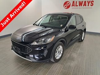 Used 2020 Ford Escape SE image 1