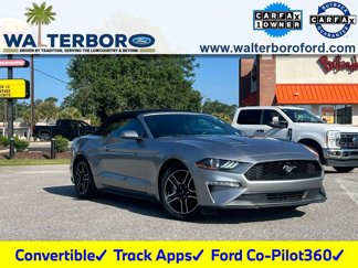 Used 2023 Ford Mustang Premium image 1