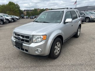 Used 2011 Ford Escape Limited w/ 302A Rapid Spec Order Code image 1