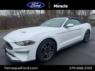 Used 2022 Ford Mustang Premium image 1