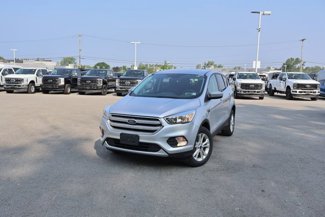 Used 2019 Ford Escape SE image 1
