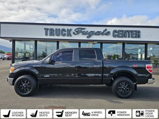 Used 2014 Ford F150 XLT image 1