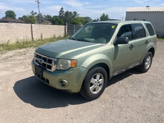 Used 2008 Ford Escape XLT image 1