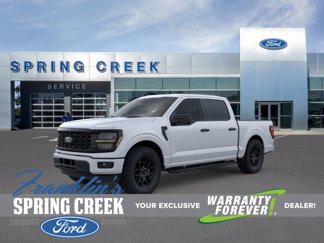 New 2025 Ford F150 STX w/ STX Black Appearance Package image 1