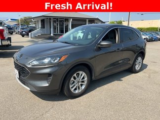 Used 2020 Ford Escape SE image 1