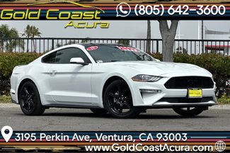Used 2019 Ford Mustang Premium w/ Equipment Group 201A image 1