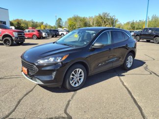 Used 2022 Ford Escape SE image 1