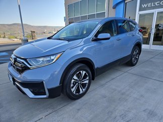 Used 2022 Honda CR-V Special Edition image 1
