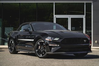 Used 2019 Ford Mustang GT Premium w/ Equipment Group 401A image 1