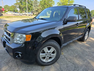 Used 2011 Ford Escape XLT w/ 202A Rapid Spec Order Code image 1