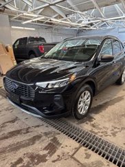 Used 2024 Ford Escape Active w/ Tech Pack #1 image 1