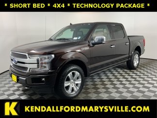 Used 2020 Ford F150 Platinum image 1