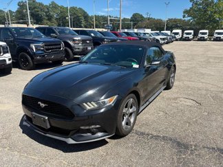 Certified 2017 Ford Mustang Convertible w/ Equipment Group 051A image 1