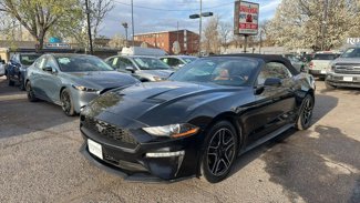 Used 2019 Ford Mustang Premium image 1
