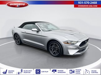 Used 2022 Ford Mustang Premium image 1