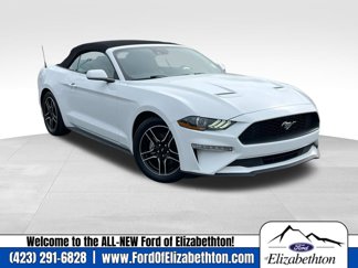 Used 2022 Ford Mustang Premium image 1