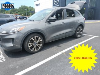 Used 2022 Ford Escape SE w/ SE Sport Appearance Package image 1