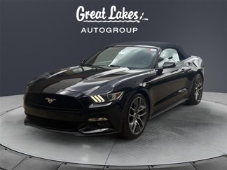 Used 2015 Ford Mustang Premium w/ Equipment Group 201A image 1