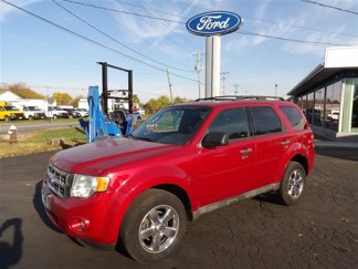 Used 2010 Ford Escape XLT image 1