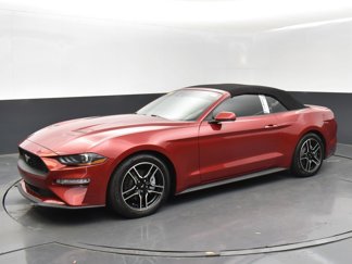 Used 2021 Ford Mustang Premium w/ Equipment Group 201A image 1