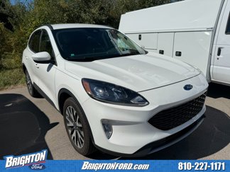 Used 2020 Ford Escape SEL image 1