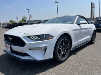 Certified 2021 Ford Mustang Premium image 1