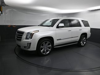 Used 2019 Cadillac Escalade Luxury image 1