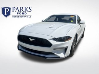 Used 2019 Ford Mustang Coupe w/ Equipment Group 101A image 1
