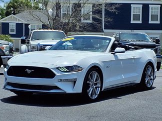 Used 2019 Ford Mustang GT Premium w/ Equipment Group 401A image 1