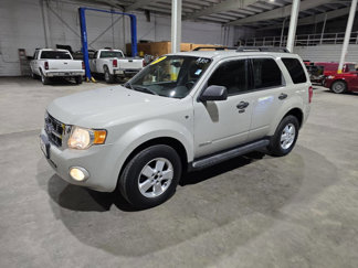 Used 2008 Ford Escape XLT image 1