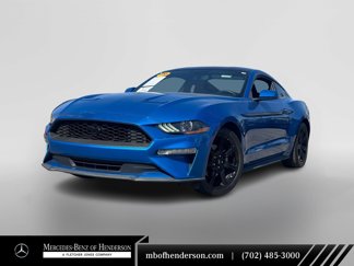 Used 2019 Ford Mustang Coupe w/ Equipment Group 101A image 1