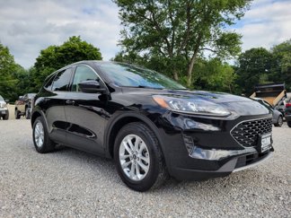 Used 2020 Ford Escape SE image 1