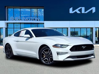 Used 2019 Ford Mustang Coupe w/ Equipment Group 101A image 1
