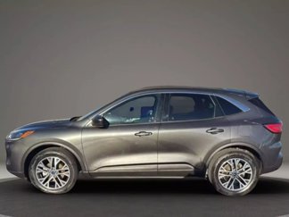 Used 2020 Ford Escape SEL image 1