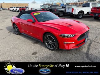 Used 2019 Ford Mustang Premium w/ Equipment Group 201A image 1