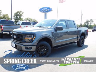New 2024 Ford F150 STX w/ STX Black Appearance Package image 1