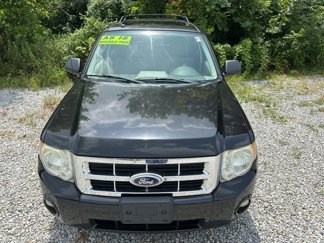 Used 2011 Ford Escape XLT w/ 202A Rapid Spec Order Code image 1