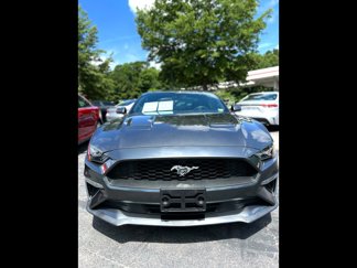 Used 2019 Ford Mustang Coupe image 1