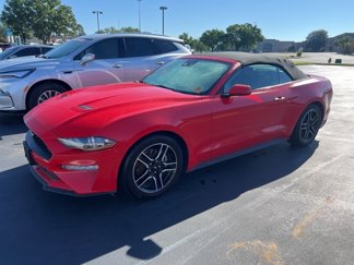 Used 2023 Ford Mustang Premium image 1