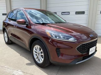Used 2021 Ford Escape SE image 1