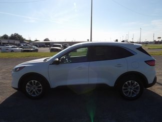 Used 2022 Ford Escape SE image 1