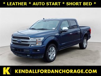 Used 2019 Ford F150 Platinum image 1