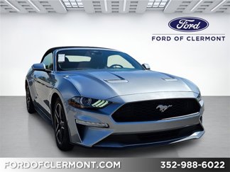 Used 2022 Ford Mustang Premium image 1