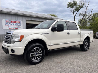 Used 2009 Ford F150 Platinum image 1