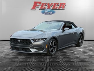 Used 2024 Ford Mustang Premium image 1
