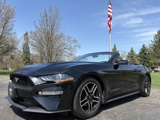Used 2020 Ford Mustang Premium image 1