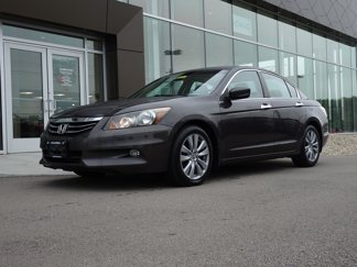Used 2011 Honda Accord EX-L image 1